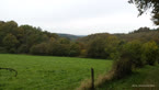 20141008_103917.jpg ALT 20141008_103917