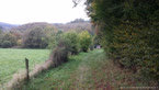 20141008_103921.jpg ALT 20141008_103921