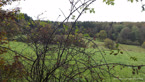 20141008_103926.jpg ALT 20141008_103926