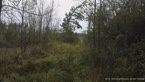 20141009_104453.jpg ALT 20141009_104453