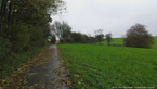 20141009_134601.jpg ALT 20141009_134601
