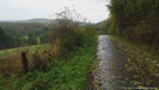 20141009_134603.jpg ALT 20141009_134603