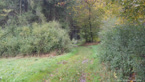 20141009_142227.jpg ALT 20141009_142227