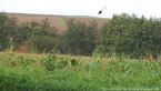 20141009_144232.jpg ALT 20141009_144232