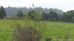 20141010_112616.jpg ALT 20141010_112616
