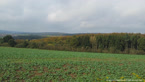 20141010_122034.jpg ALT 20141010_122034