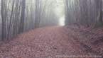 20141011_120820.jpg ALT 20141011_120820