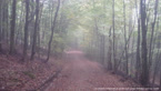 20141011_120821.jpg ALT 20141011_120821