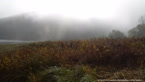 20141012_111336.jpg ALT 20141012_111336