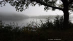 20141012_112525.jpg ALT 20141012_112525