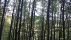 20141012_134020.jpg ALT 20141012_134020