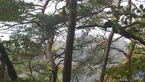 20141012_150402.jpg ALT 20141012_150402
