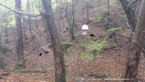 20141013_102115.jpg ALT 20141013_102115