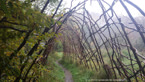 20141013_102337.jpg ALT 20141013_102337