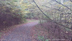 20141013_104305.jpg ALT 20141013_104305
