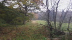20141013_123953.jpg ALT 20141013_123953