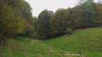 20141013_145339.jpg ALT 20141013_145339