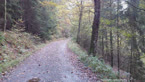20141014_111424.jpg ALT 20141014_111424