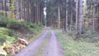 20141014_114828.jpg ALT 20141014_114828