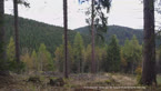 20141014_140723.jpg ALT 20141014_140723