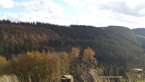 20141014_155540.jpg ALT 20141014_155540