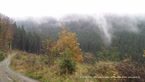 20141016_101331.jpg ALT 20141016_101331