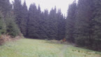 20141016_102044.jpg ALT 20141016_102044