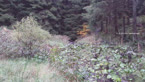 20141016_102226.jpg ALT 20141016_102226