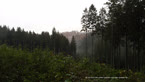 20141016_103240.jpg ALT 20141016_103240