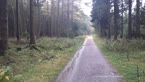 20141016_120323.jpg ALT 20141016_120323