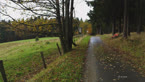 20141016_124632.jpg ALT 20141016_124632